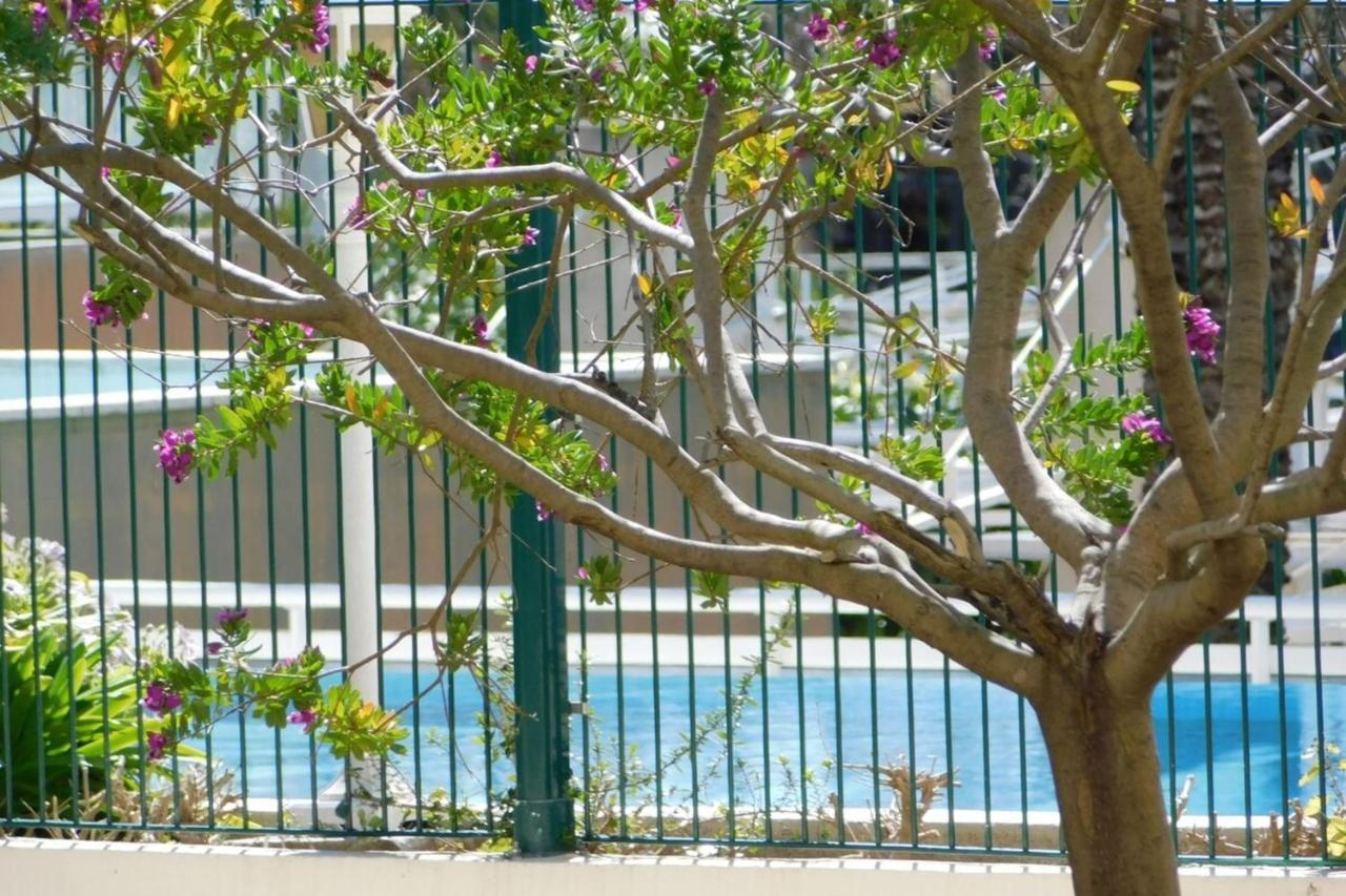 "T2 "Antibes Les Pins 3" Air Conditionned Sea View With Parking And Pool" Apartment Exterior photo